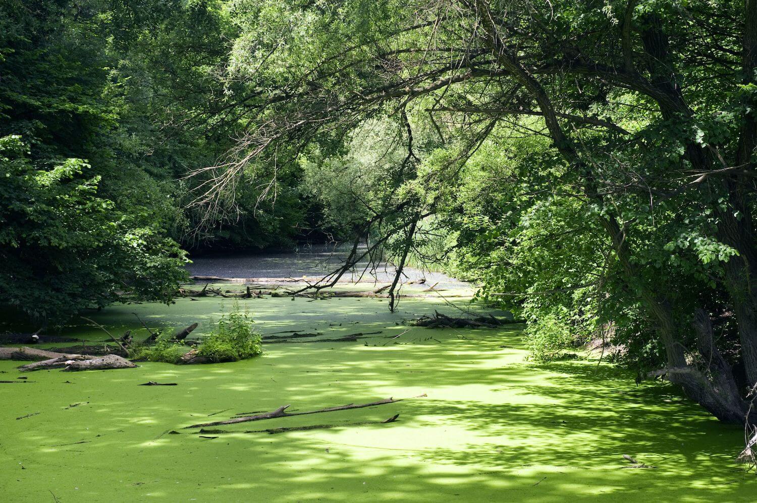 Nationalpark Donau-Auen