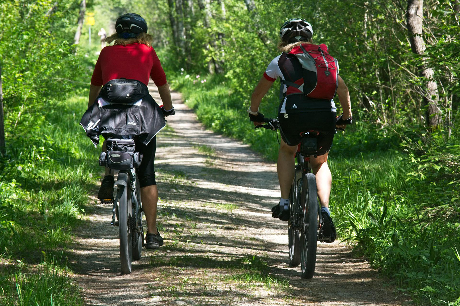 Radweg Dampfross & Drahtesel